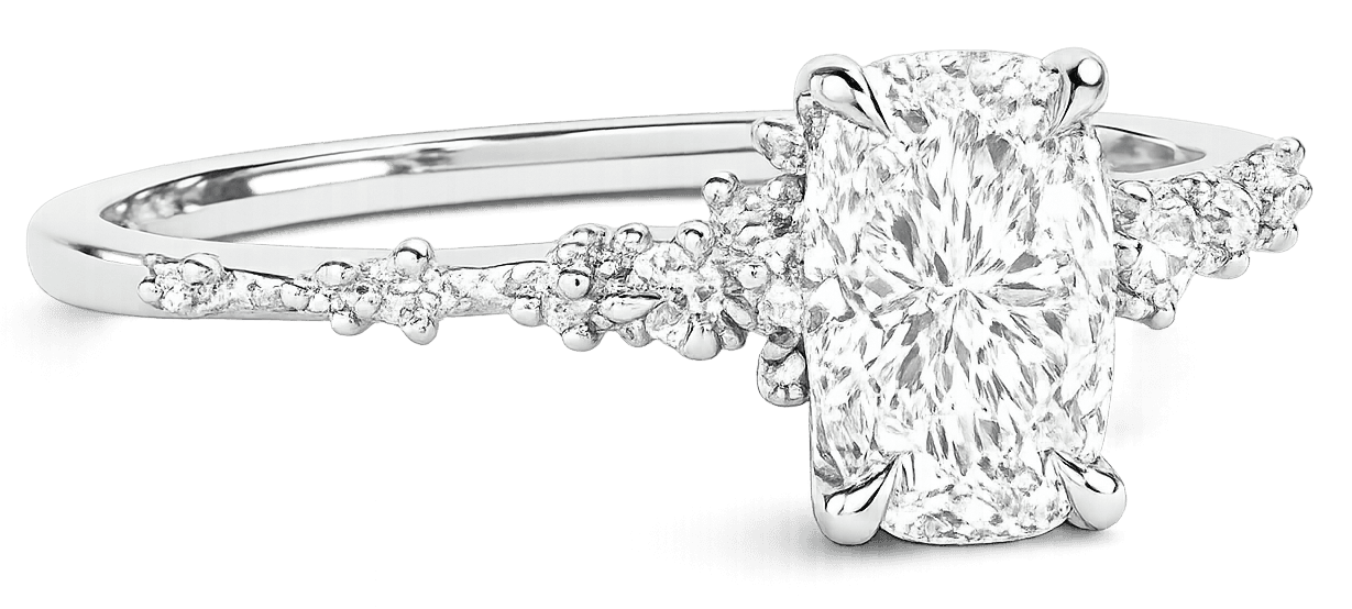 Cushion TTN profile view
